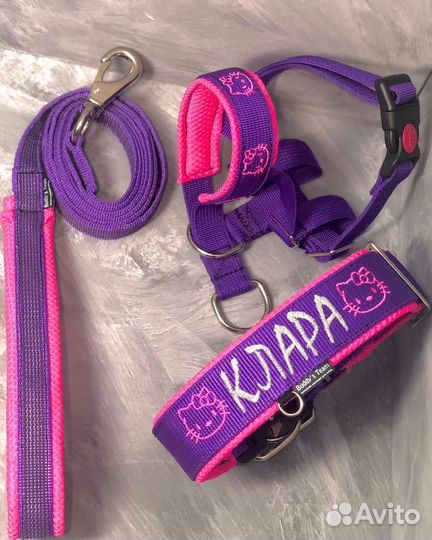 Амуниция для собак