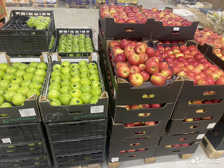 Овощи и фрукты оптом