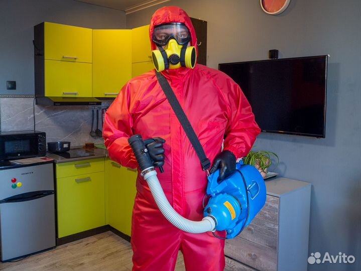 Клещи, тараканы, клопы, плесень, запахи, дез обр