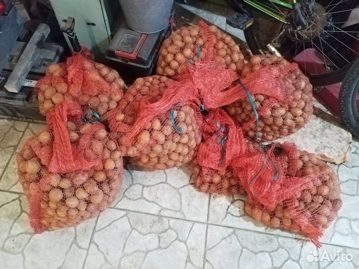 Картофель для скота