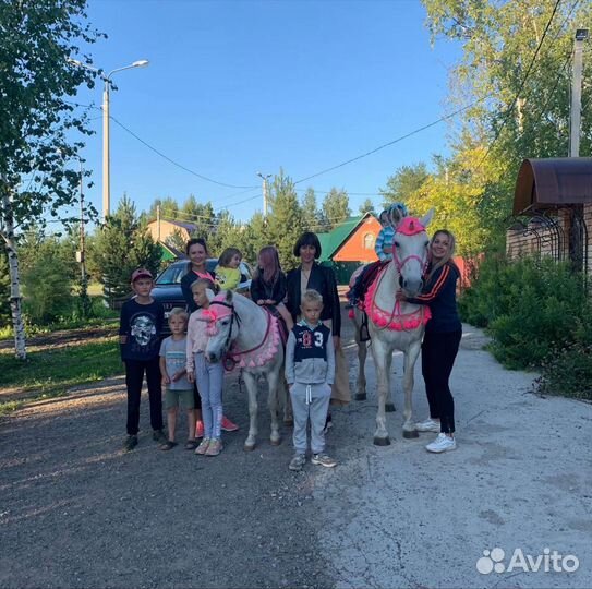 Прогулки на лошадях и поход в конный клуб