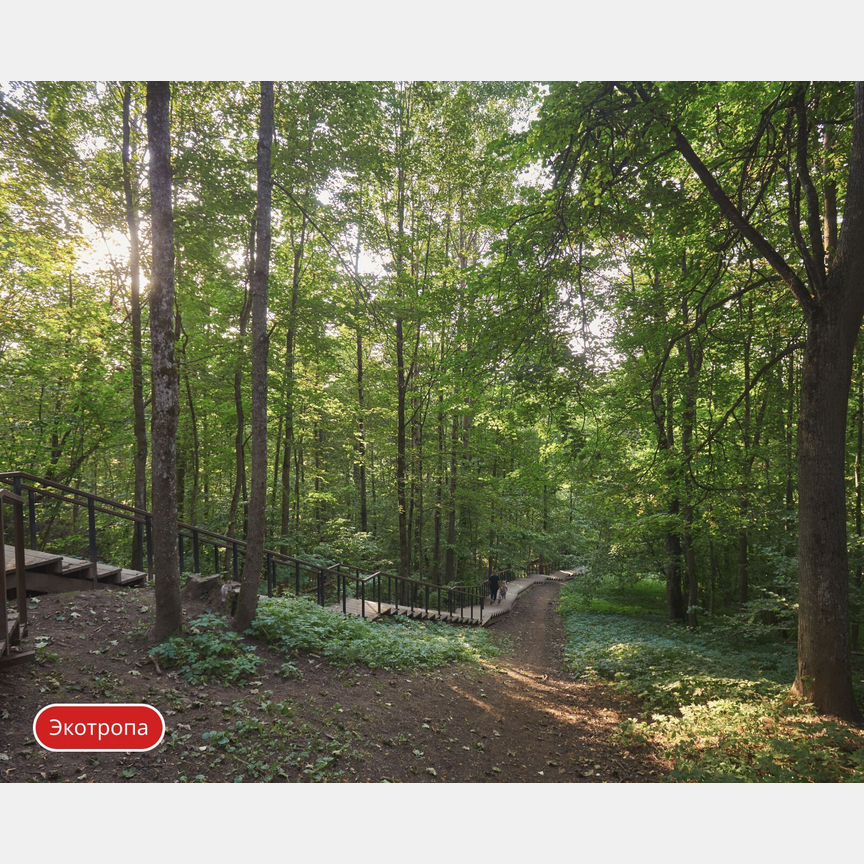 1-к. квартира, 36,9 м², 10/13 эт.