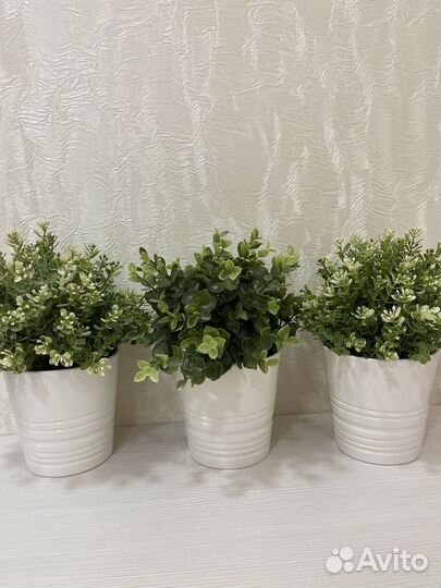 Растение IKEA фейка