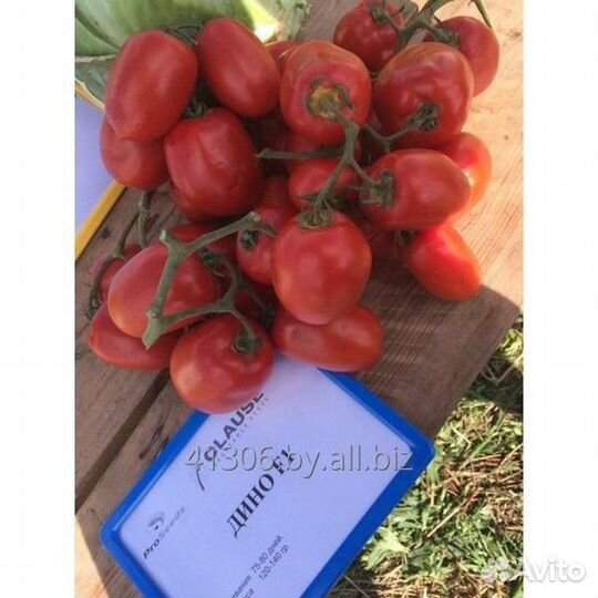 Семена томатов Хайнц 3402 F1,Дино F1,Петро россаf1