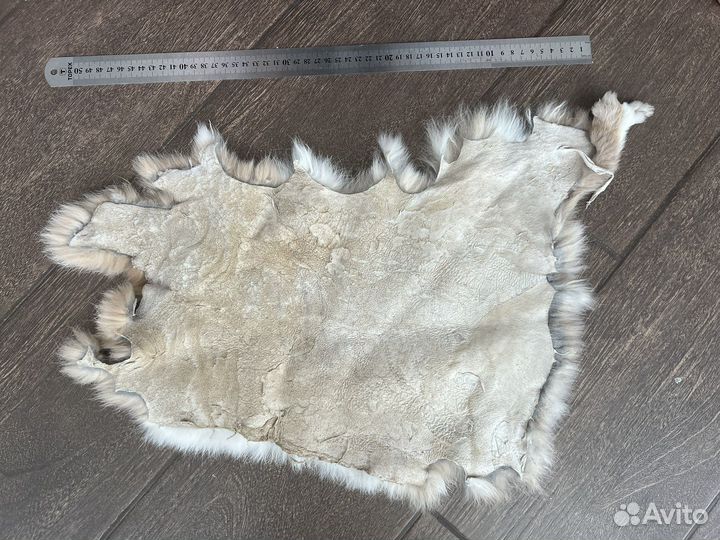 Шкура животного