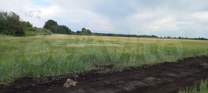 Участок 9 га (СНТ, ДНП)