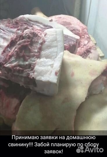 Мясо свинина домашняя