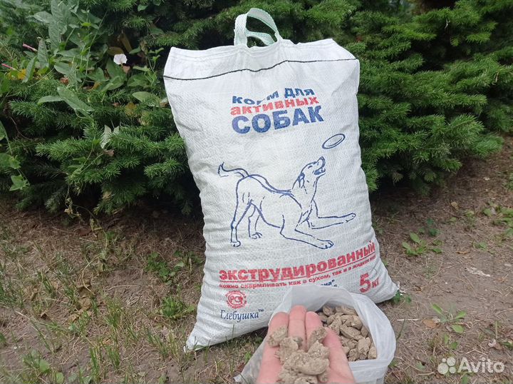 Корм для собак