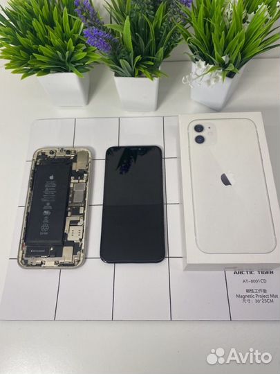 iPhone 11, 256 ГБ