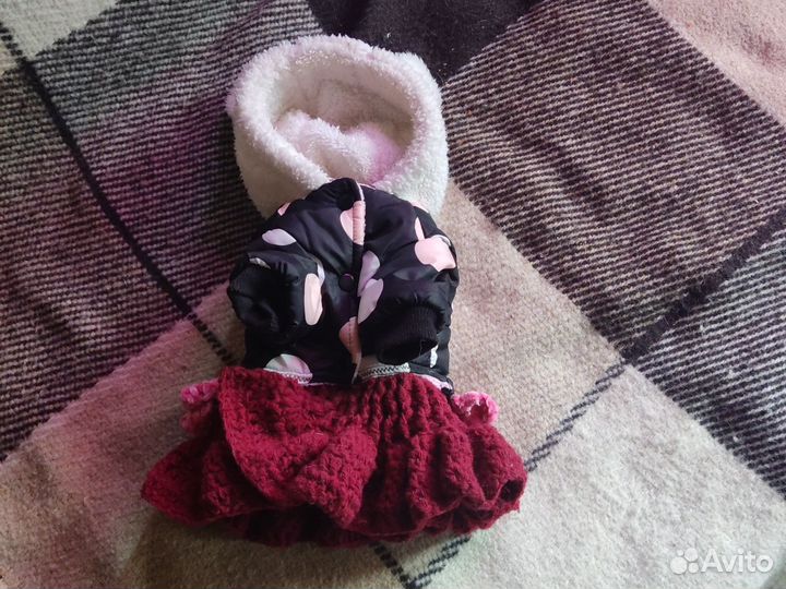 Одежда для маленькой собачки