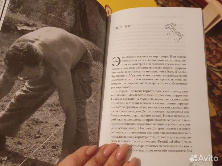 Еда. Итальянское счастье