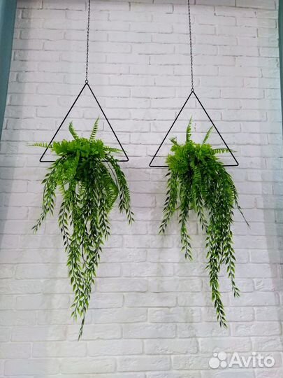 Вьюн, искуственое озеленение