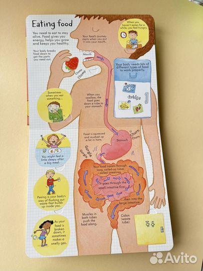 Книга на английском языке новая