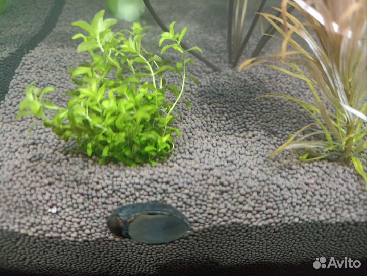 Грунт пропант