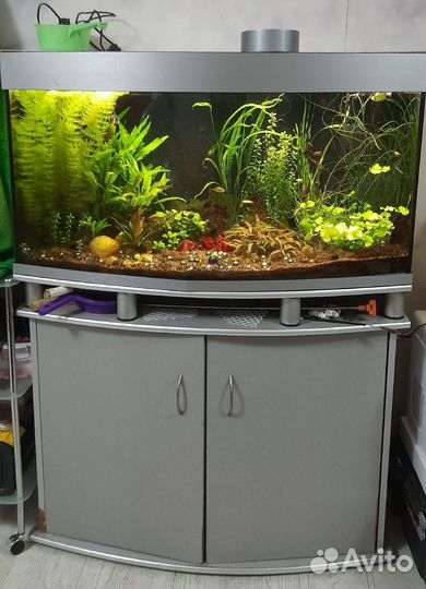 Аквариум панорамный с тумбой. 200 литров