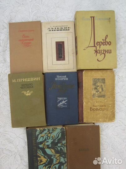 В. Каверин. Два капитана. 1981 год