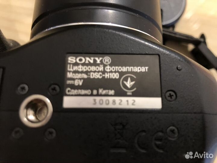 Sony dsc h100