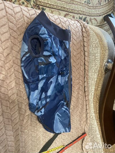 Одежда для собак