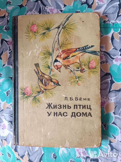 Книги о птицах