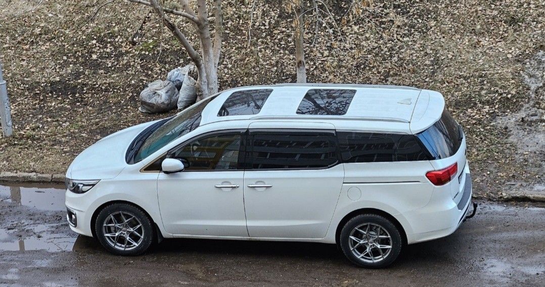 Kia Carnival: фото владельца