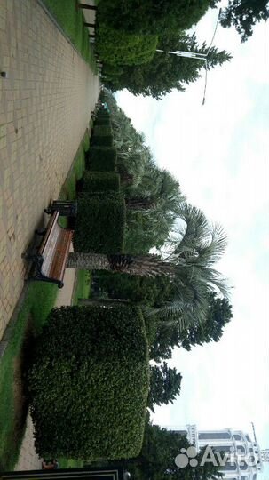 Поездка на море и на природу. Заказ микроавтобуса