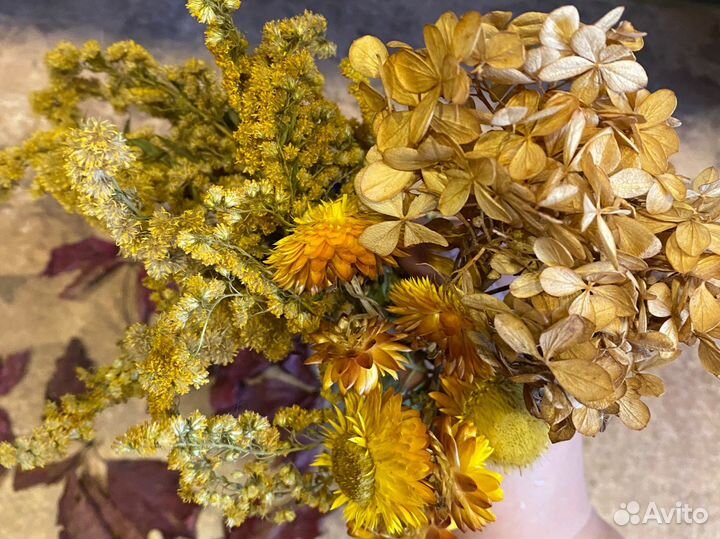 Сухоцветы для творчества