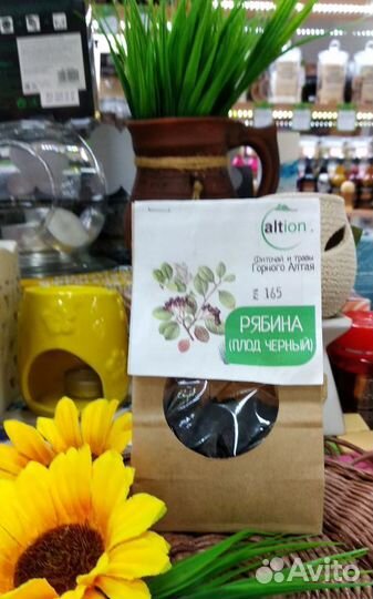 Рябина черноплодная