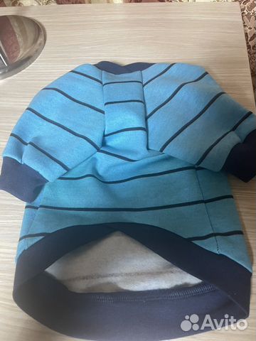 Одежда для собак мелких пород и кошек