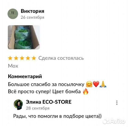 Панель из мха 40 см