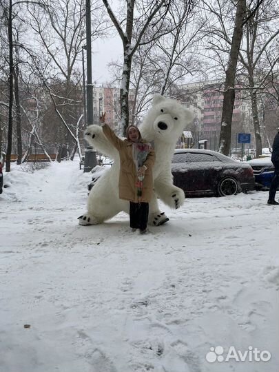 Белый мишка на праздник