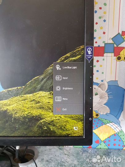 Монитор Benq GL2460