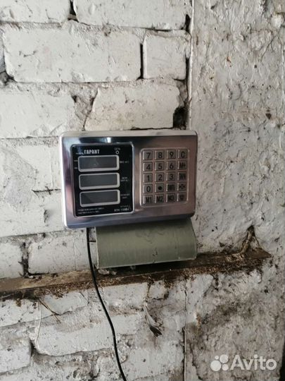 Зерно пшеница