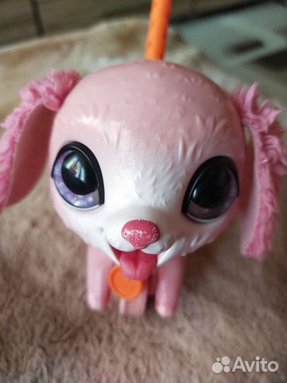 Littlest Pet Shop