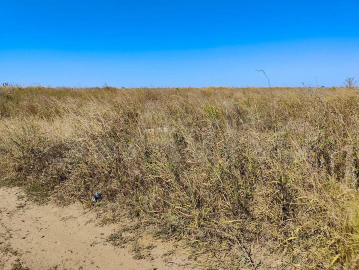 Участок 2 га (ИЖС)