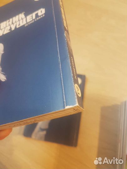 Манга дневник будущего