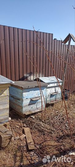 Ульи для пчел бу