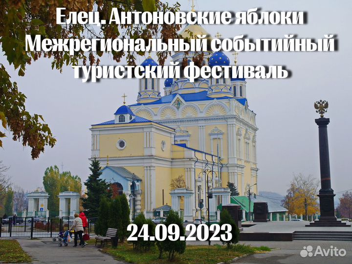 Елец. Антоновские яблоки. 24 сентября 2023 г