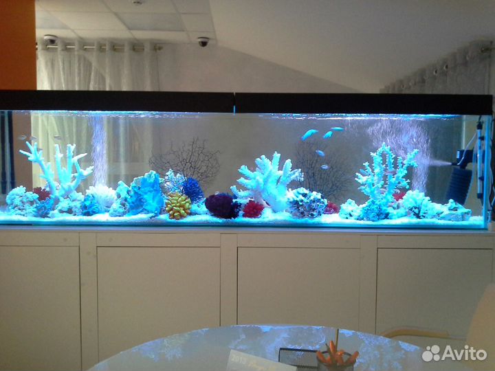 Оформление и обслуживание аквариумов