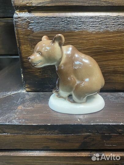 Медведь лфз