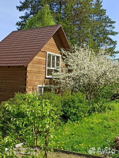 Консультация