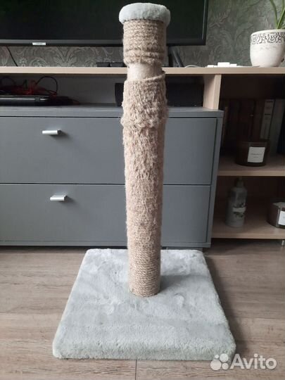 Когтеточка