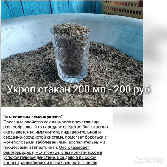 Семена укропа