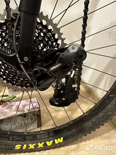 Stinger Genesis EVO STD 29 2021