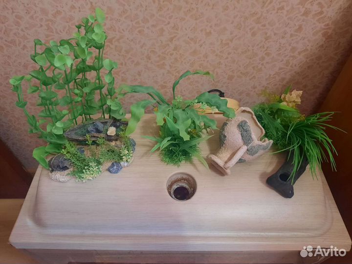 Морской аквариум с рыбками