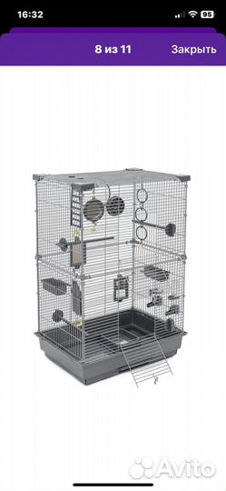 Апартаменты для попугая