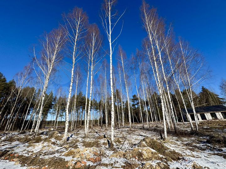 Участок 5 сот. (ИЖС)