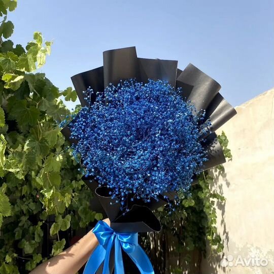 Букеты Гипсофилы Разные Цвета Пышные