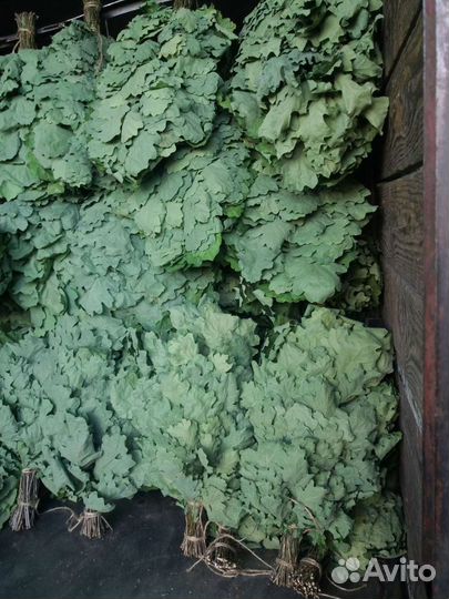 Веники для бани