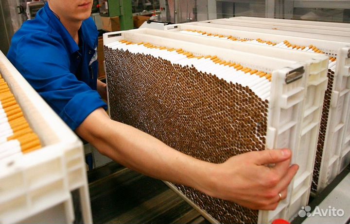 Маркировщик на сигареты kent/ winston Вахта 15/30