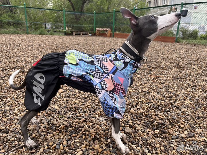 Дождевик для собаки For My Dogs